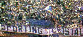 bandera_edited.jpg