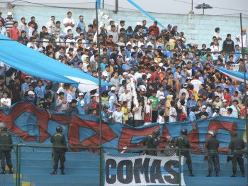 fielhinchada.jpg